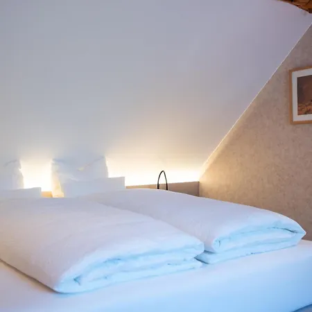 Le Vieux Moulin Hotel 4*