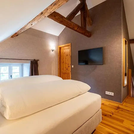 Hotel Le Vieux Moulin