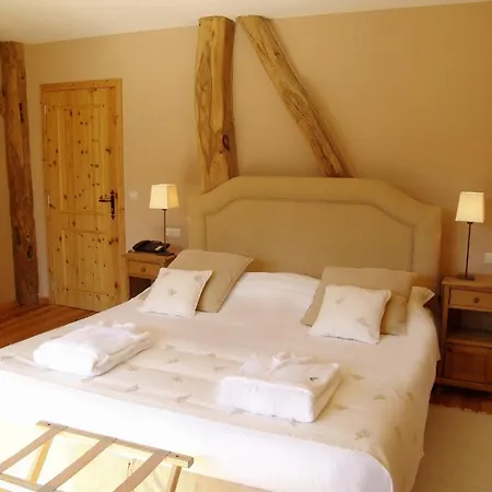 Hotel Le Vieux Moulin